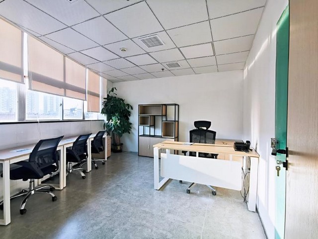 广州认识绿化树哪家便宜